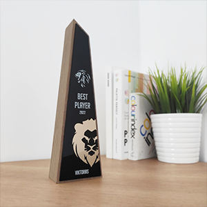 Crystal Award Trophy